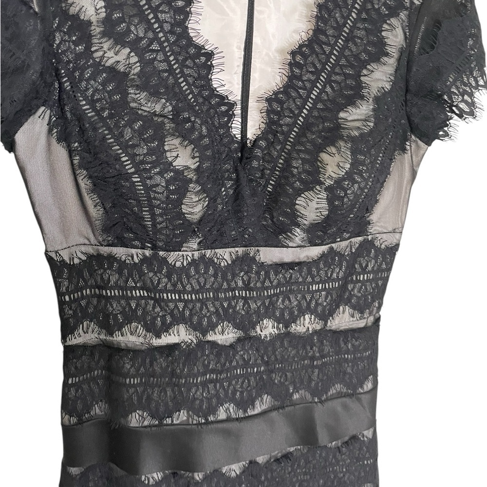 JS Collections Black Lace Nude Cocktail Dress 4 - Picture 2 of 6